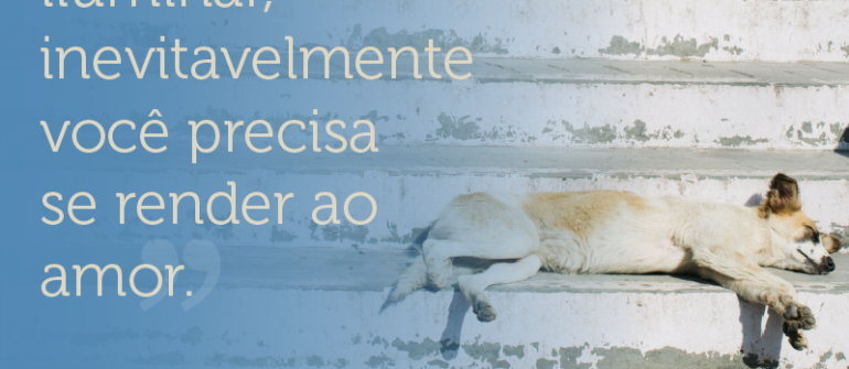 Amor e Luz